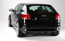    Hofele Audi A3 8PA