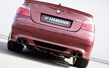    Hamann BMW M5 E60 Sedan - 2006