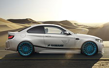    Hamann BMW M2 - 2016