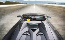    Mansory Carbonado Apertos Lamborghini Aventador LP700-4 Roadster - 2013